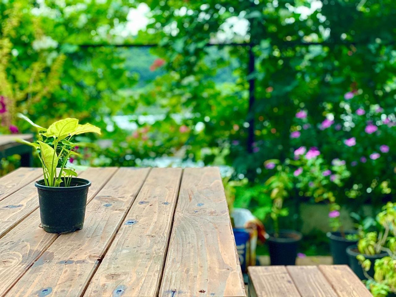 Urban Nomads Pune Riverside Colive Cowork Hostel ภายนอก รูปภาพ
